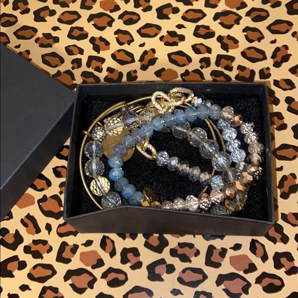 ⭐️ALEX AND ANI & ERIMISH 5 BRACELET LOT ⭐️